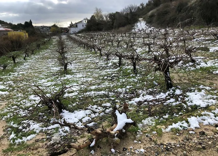 Pachna - Village Life