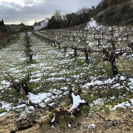 Pachna - Village Life